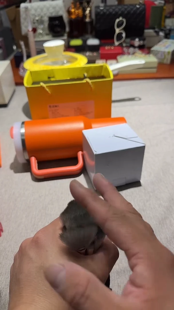 瓷片算了，真划算买它@@1