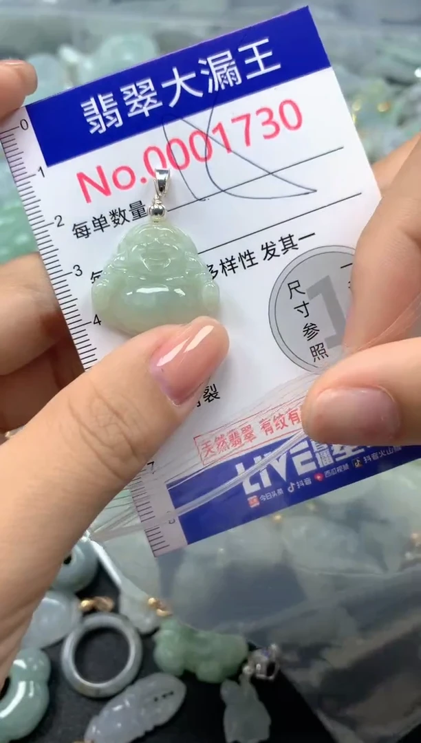 颈饰未镶嵌翡翠1730