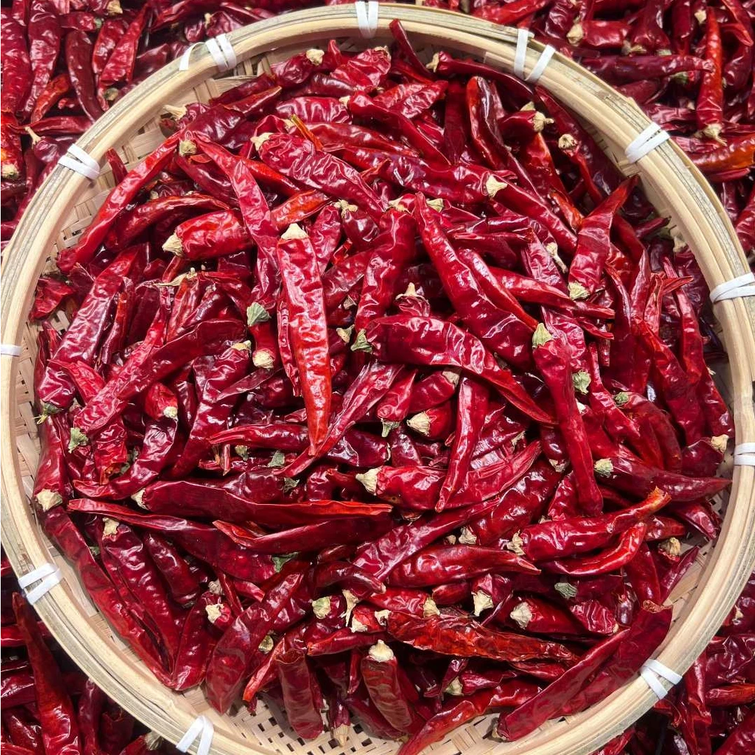 魔鬼辣特辣精选优质干辣椒厨房调味品一斤装（特辣）