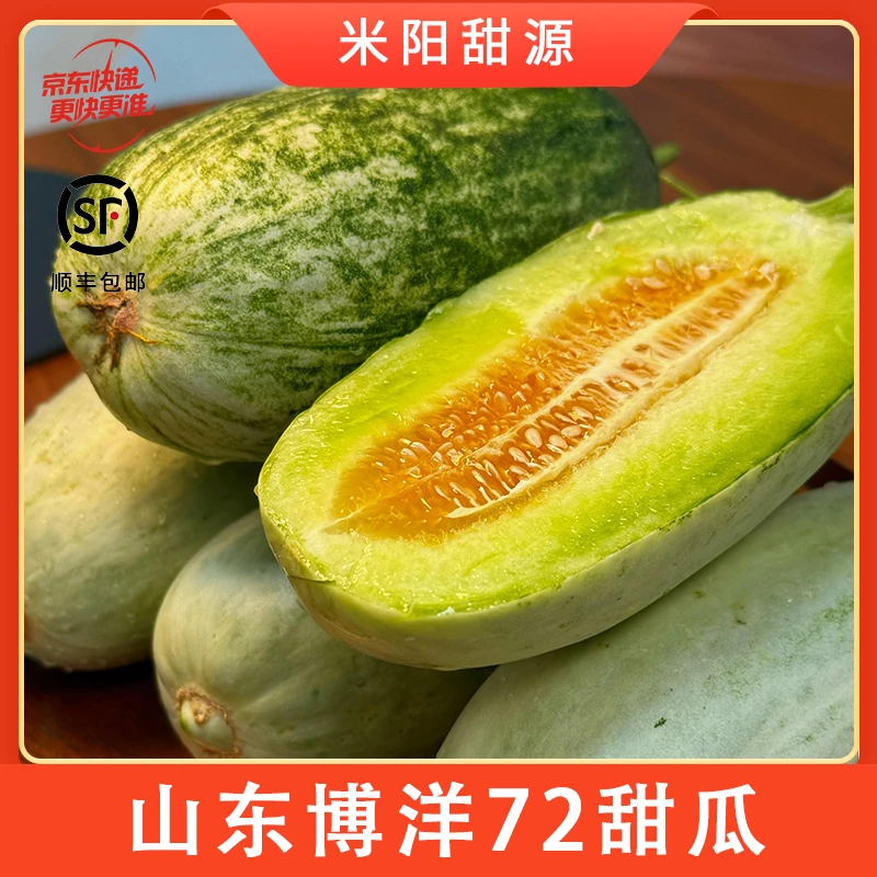 【米阳甜源】山东博洋72甜瓜3斤约3-7个/4.5斤约4-9个