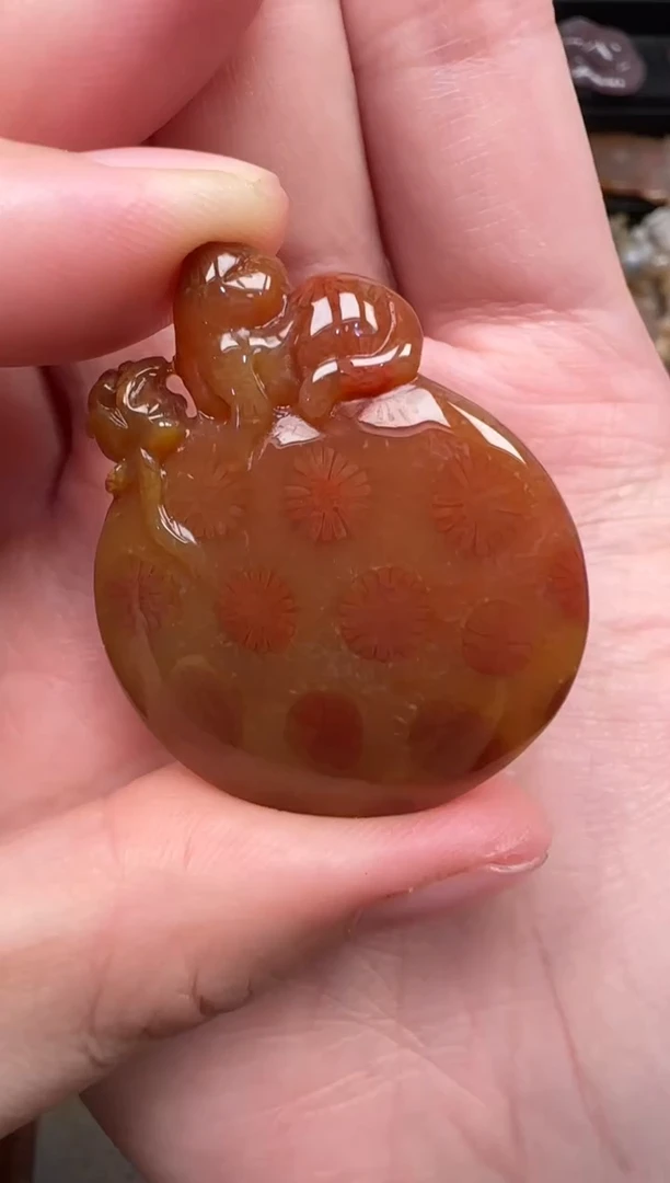 颈饰未镶嵌硅化珊瑚（珊瑚玉）822