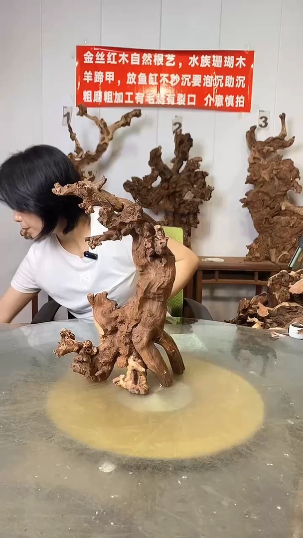香榧木九*哥金丝红木   羊蹄甲