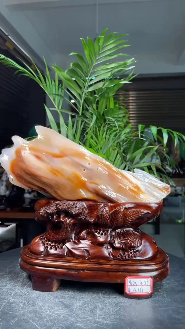 未镶嵌硅化玉（树化玉）珠宝奇石2719