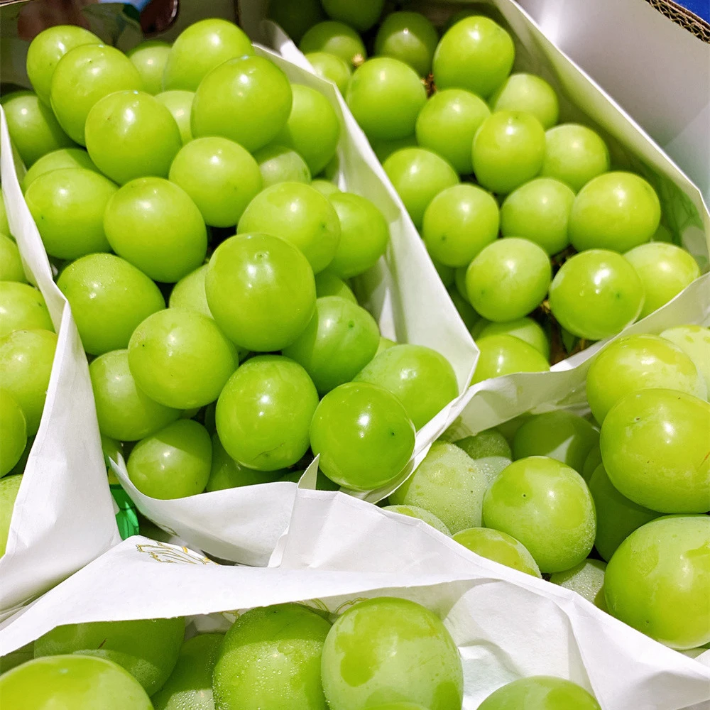 精品晴王葡萄一串 2斤左右云南省