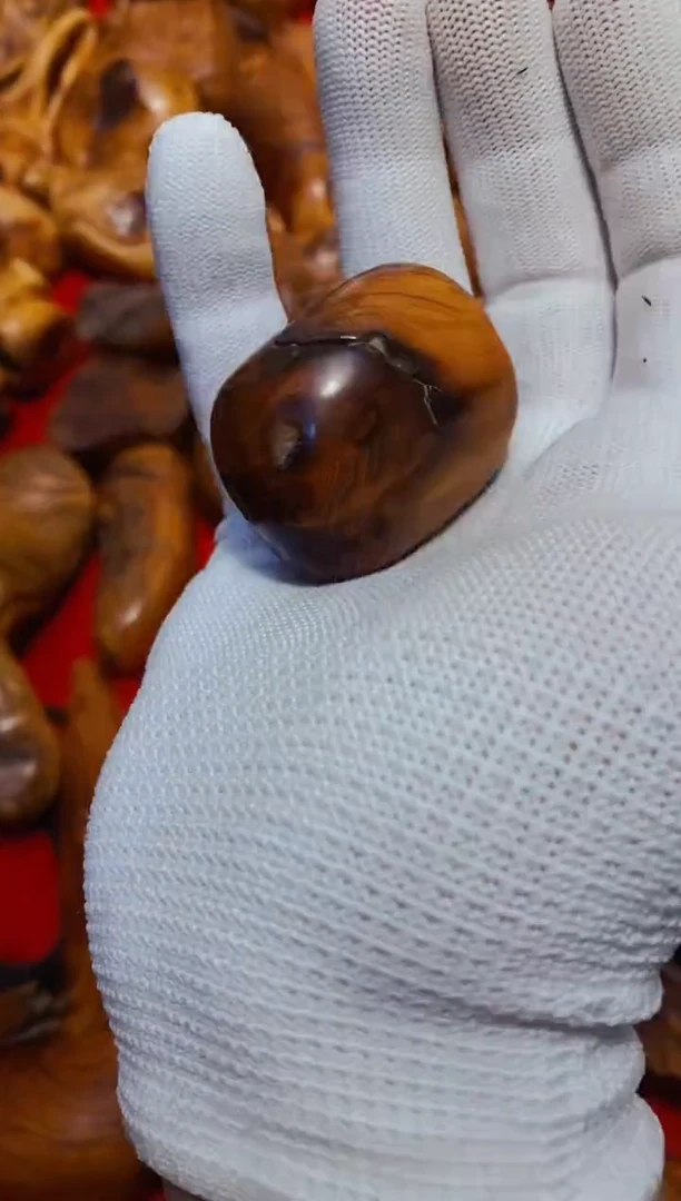 【闪购商品】柏木50崖柏崖柏崖柏