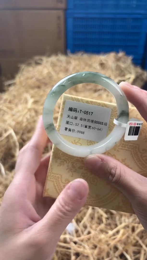 未镶嵌手镯石英质玉T-0517