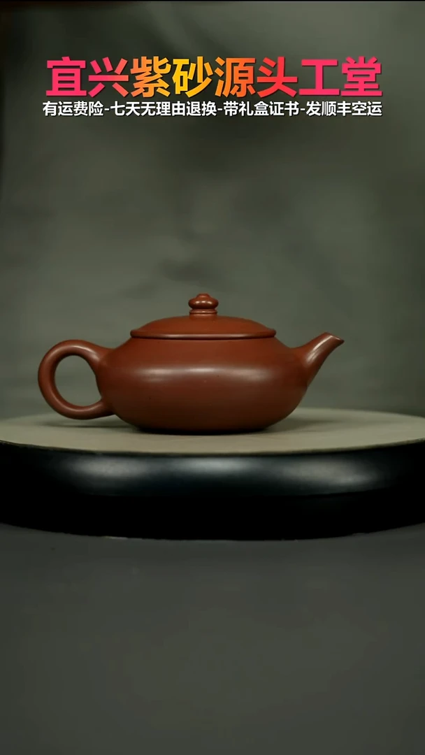 茶壶紫砂李传荣S级龙血砂财源240CC