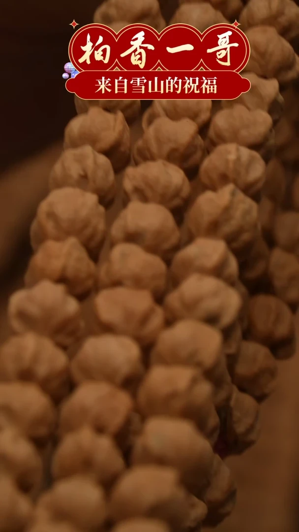 【闪购商品】柏香籽/百香籽吊坠1853