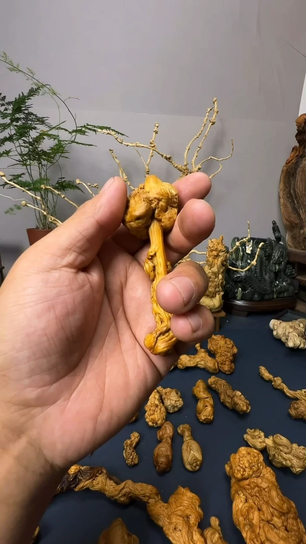 香榧木?****车bbbbbbb