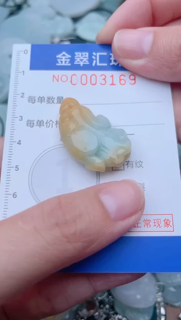 颈饰未镶嵌翡翠3169