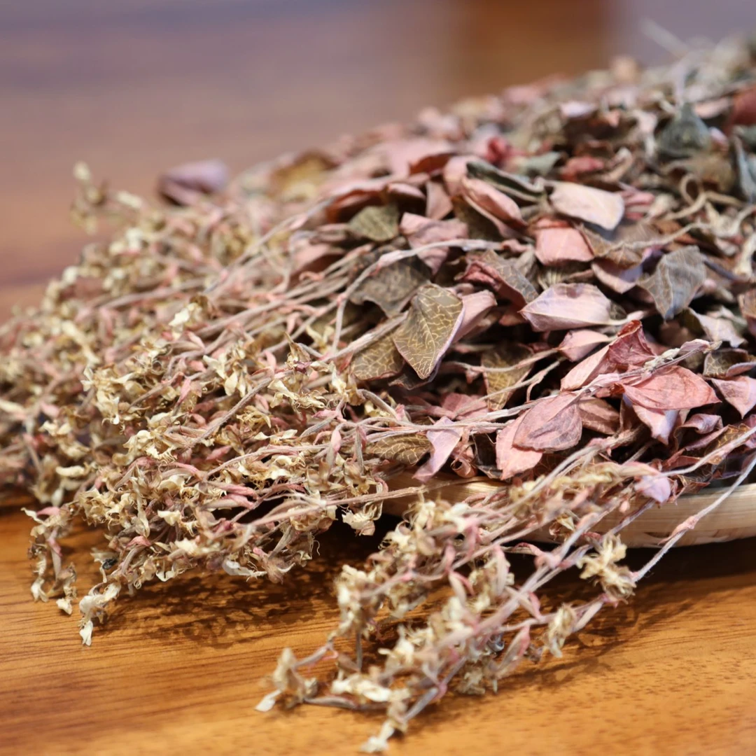 【锐贤老板娘专属】福建红霞开花金线莲组合型花茶送礼厂家直发代发