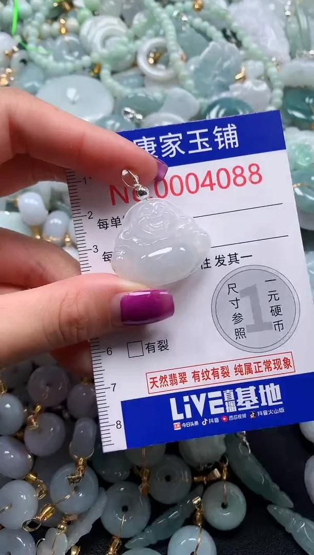 颈饰未镶嵌翡翠4088