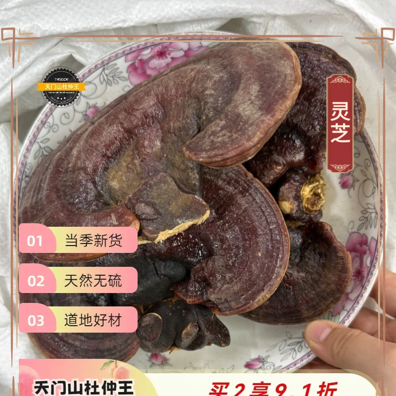 【天门山杜仲王】灵芝 吉林道地直采 天然无硫