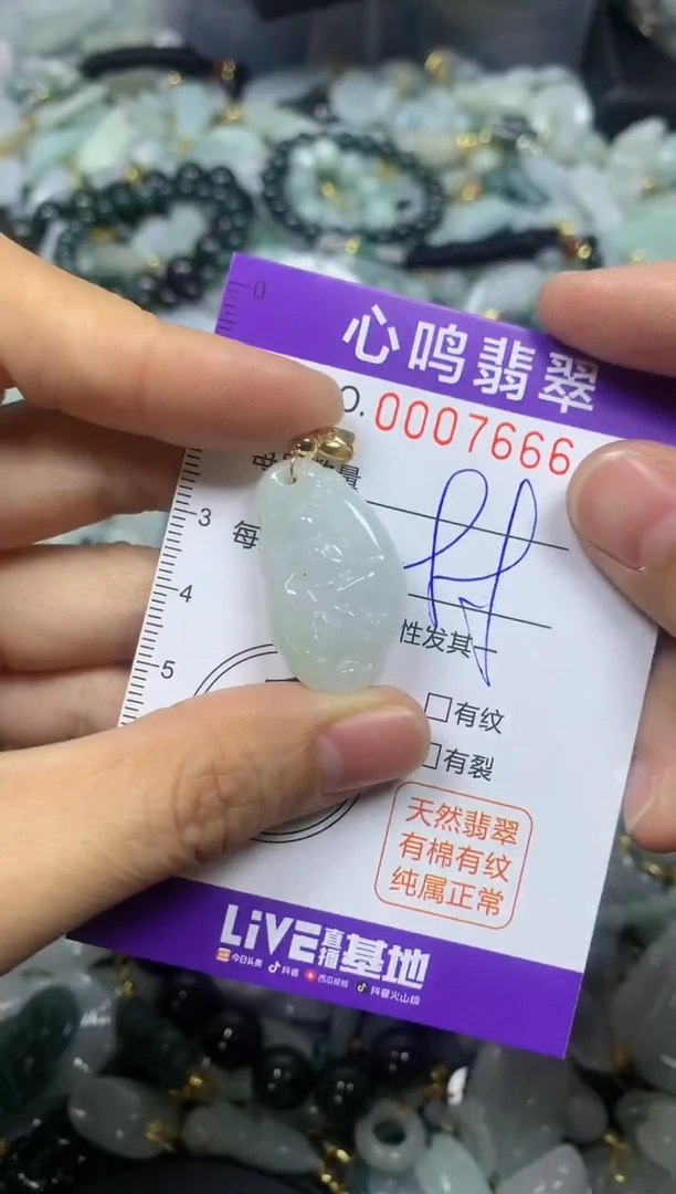 【闪购商品】翡翠颈饰未镶嵌闪购007666