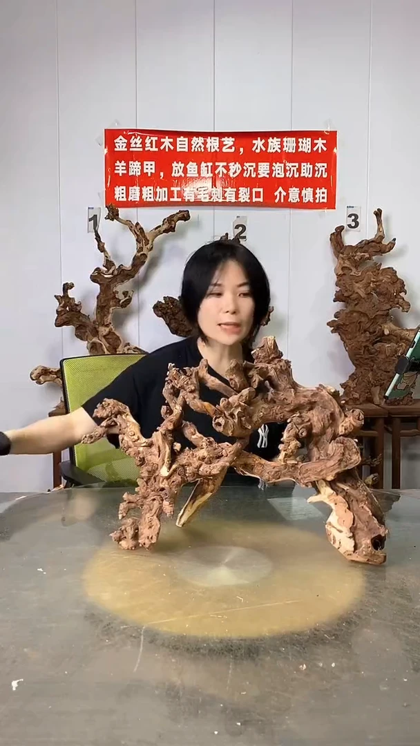 香榧木金丝红木 羊蹄甲
