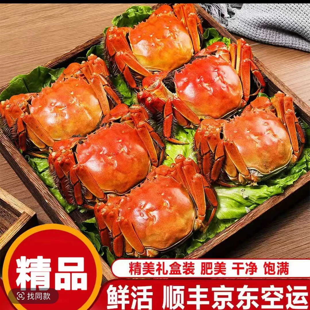 [活蟹]江苏鲜活2.8两全母蟹（2.6—2.7两)共8-10只