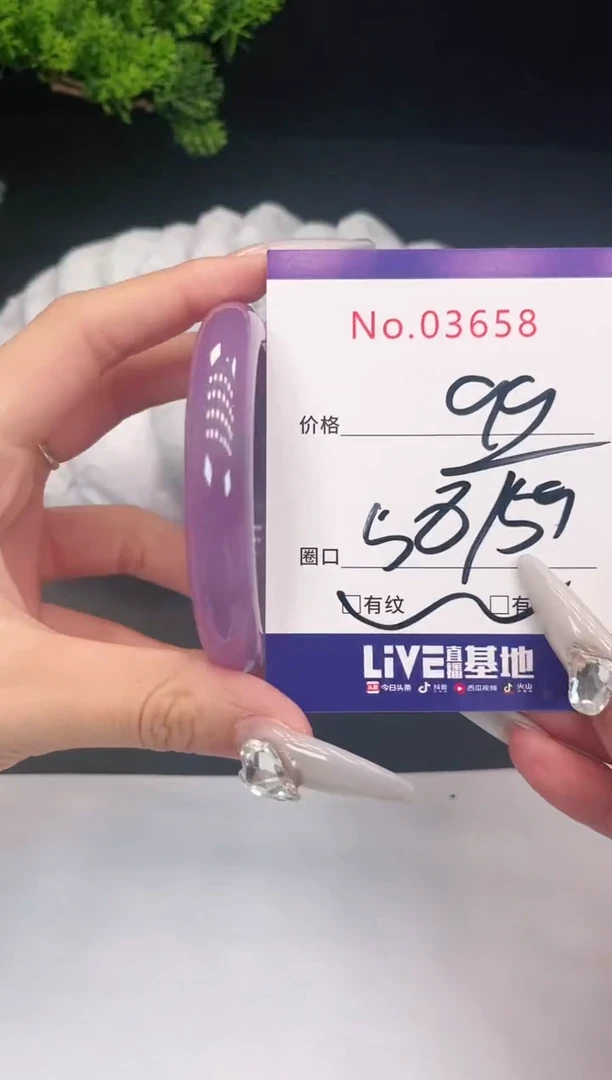 未镶嵌手镯翡翠3658