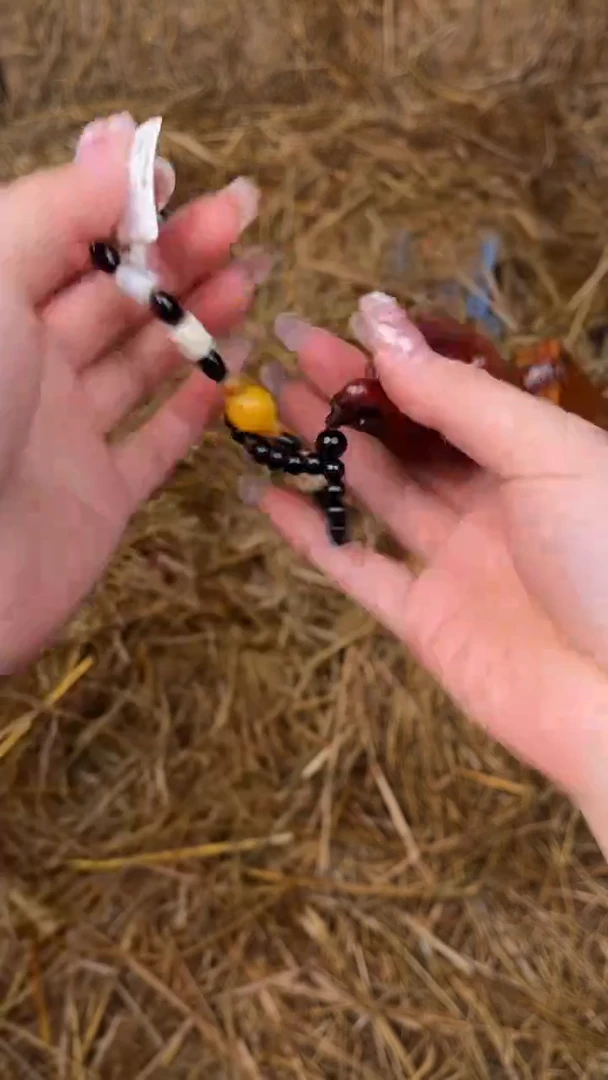 手串春分优品福利闪购商品无礼盒