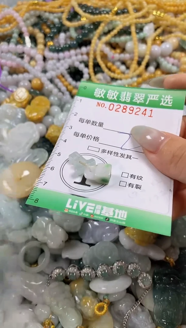 翡翠未镶嵌颈饰闪购0289241