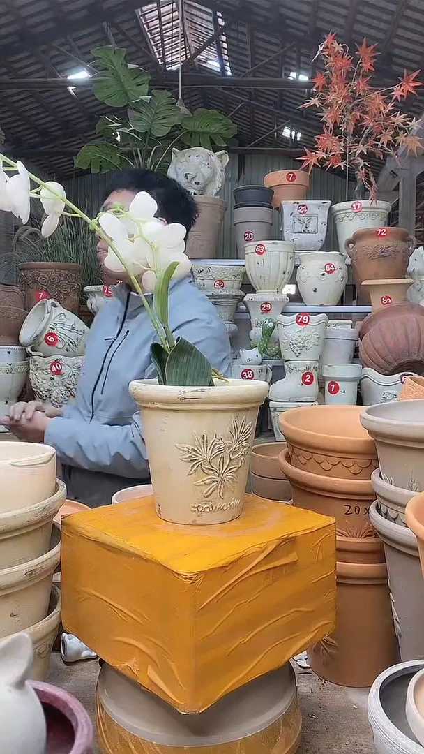 【闪购商品】缸1个15*15作旧陶香草无托无托