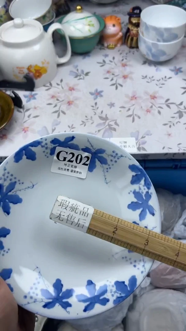 瓷片          G202