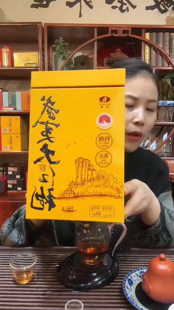 武夷山大红袍茶叶 48泡装 净含量共408克