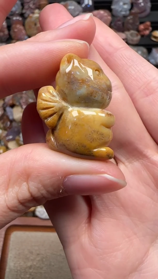 颈饰未镶嵌硅化珊瑚（珊瑚玉）301