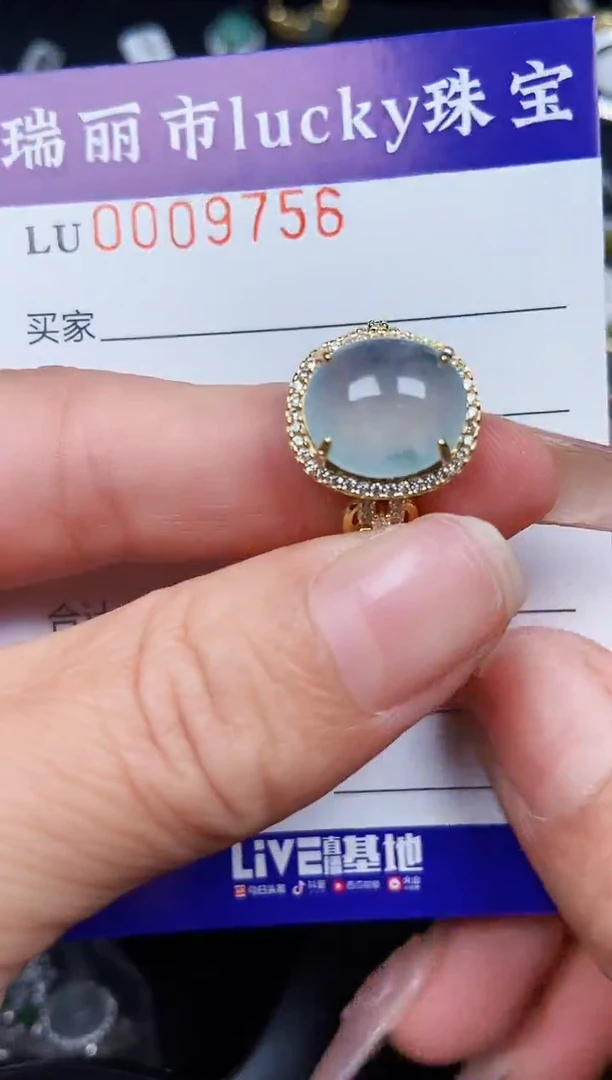 翡翠银S925镶嵌颈饰9756