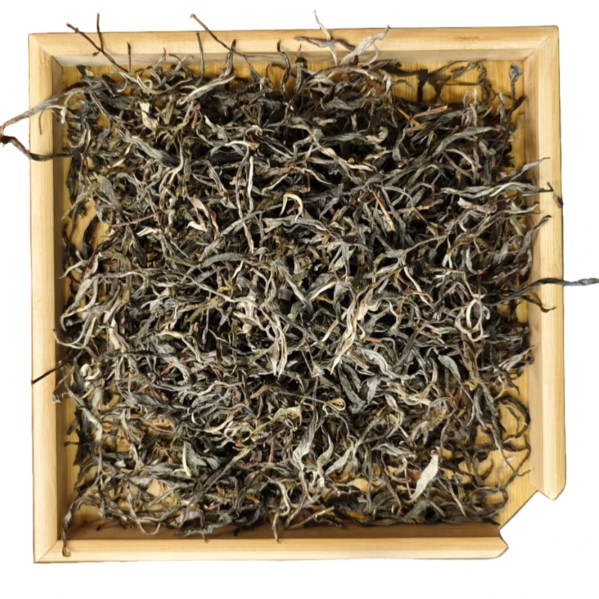 粉丝专享 2025年 老曼峨生茶散茶古树250-1000g G330