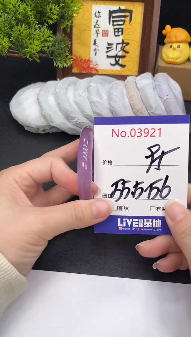 未镶嵌手镯翡翠3921