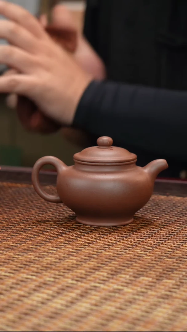 茶壶紫砂汀禾紫砂掇只
