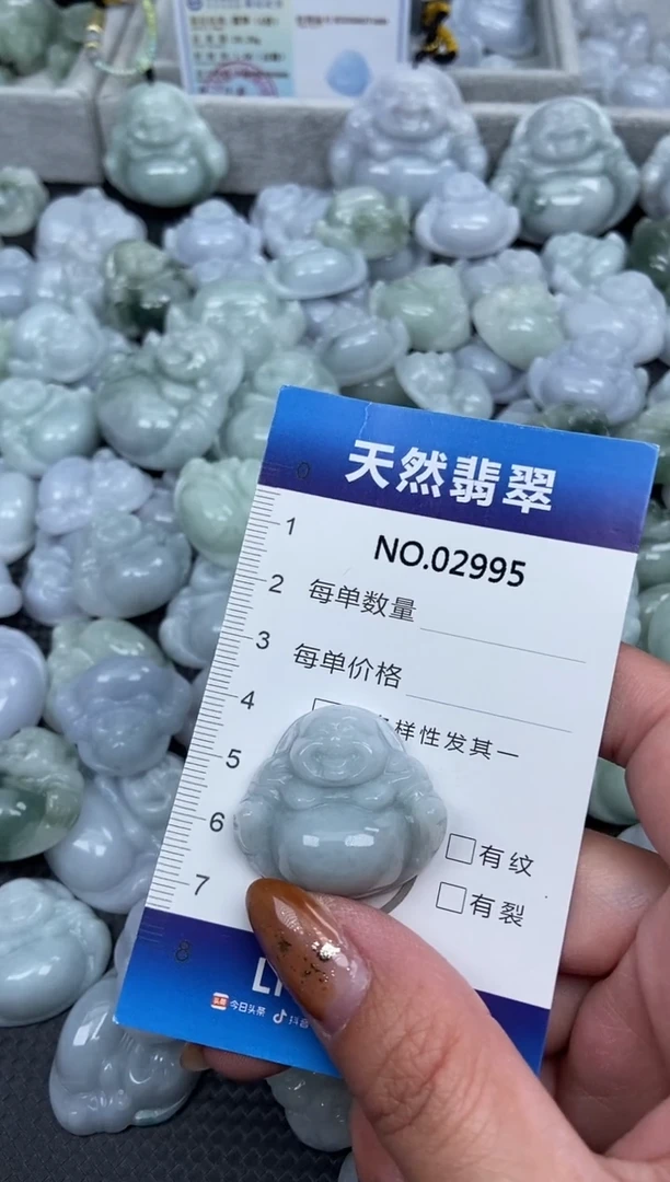 颈饰未镶嵌翡翠纯天然A货翡翠2995