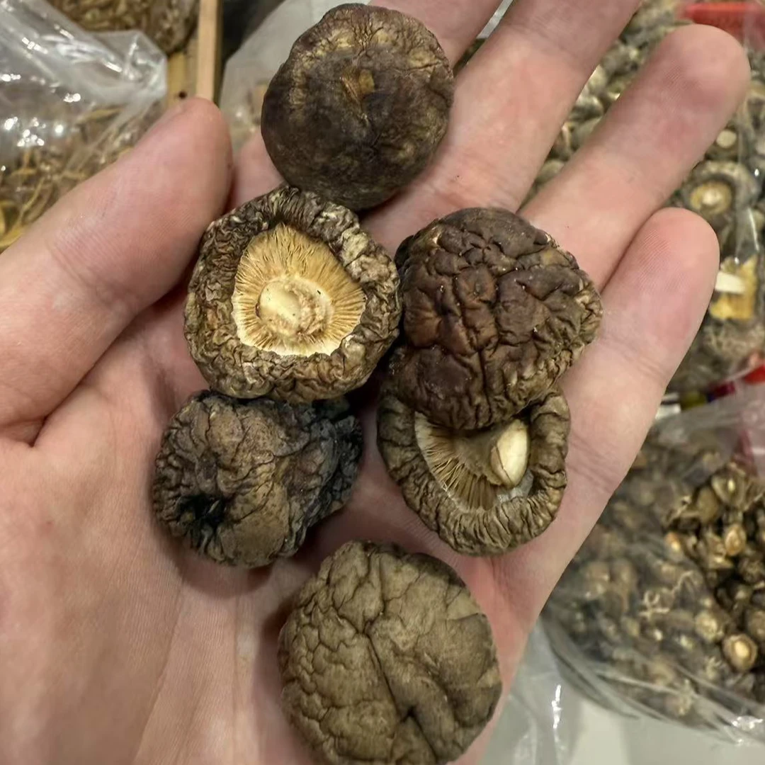 甄选香菇干货农家新货适合炖鸡汤的营养食材