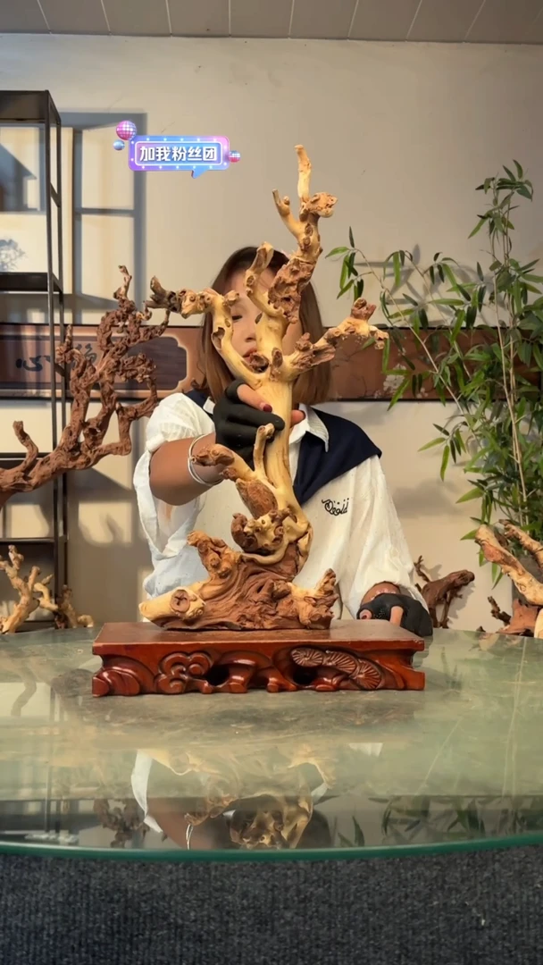 木3****3金丝红木F263