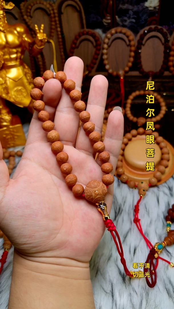 手串凤眼菩提刘*源新籽10.5