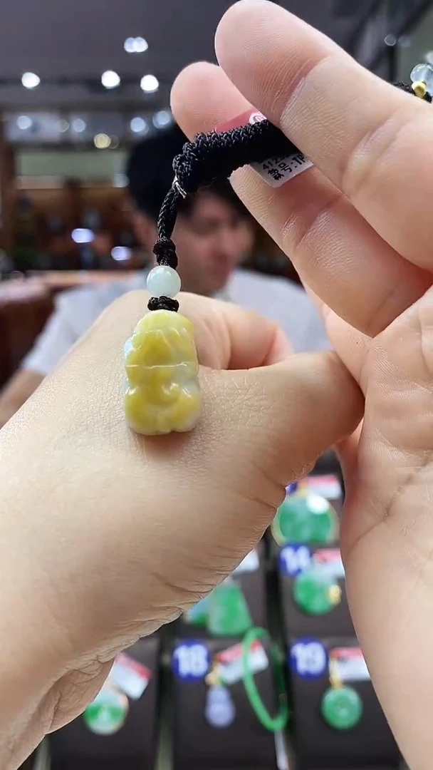 颈饰未镶嵌翡翠貔貅