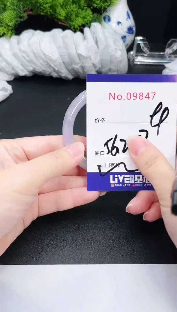 未镶嵌手镯翡翠9847