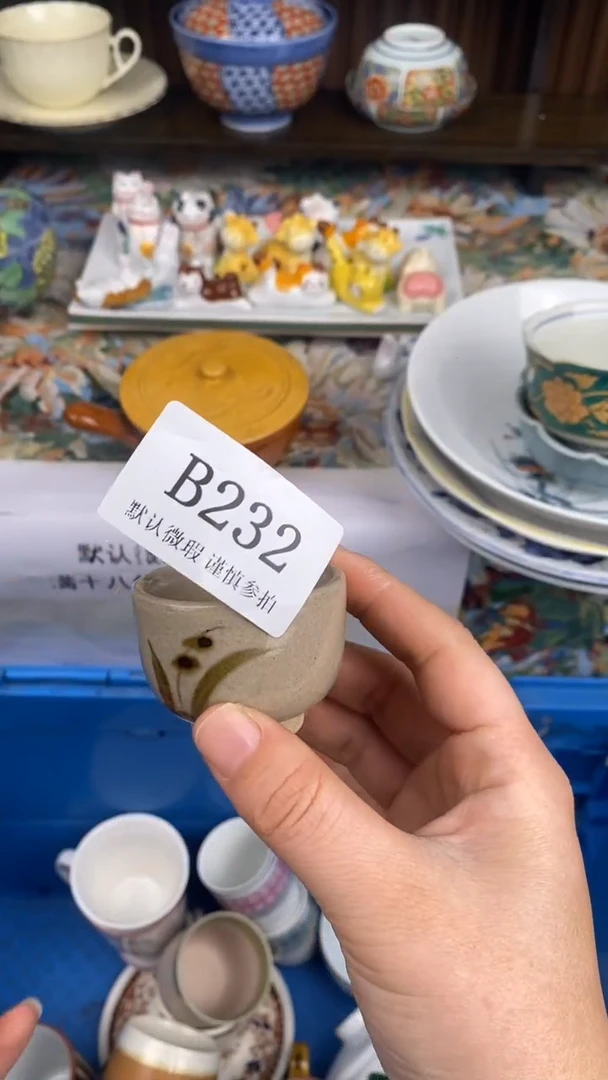 瓷片蔡**_B 232瓷片  一物一拍