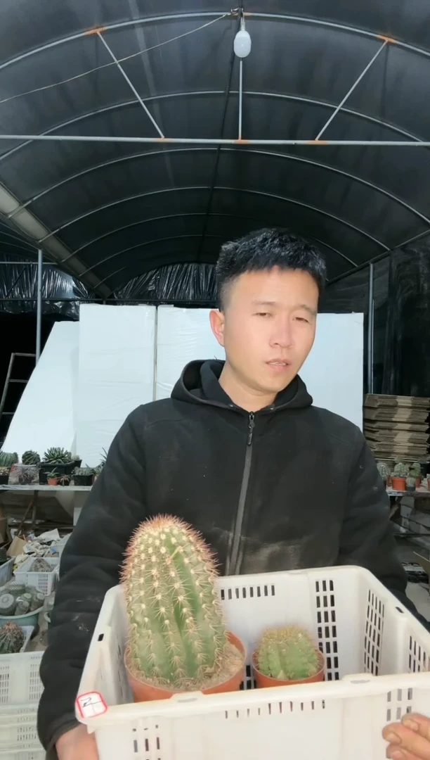 【闪购商品】筐拍 29号