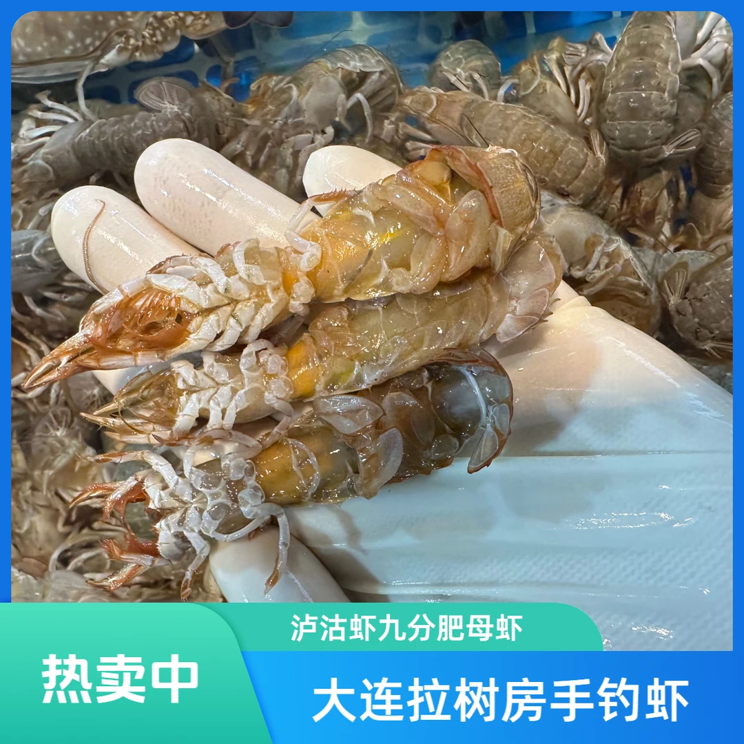 大连拉树房手钓泸沽虾【九分肥】母的有黄