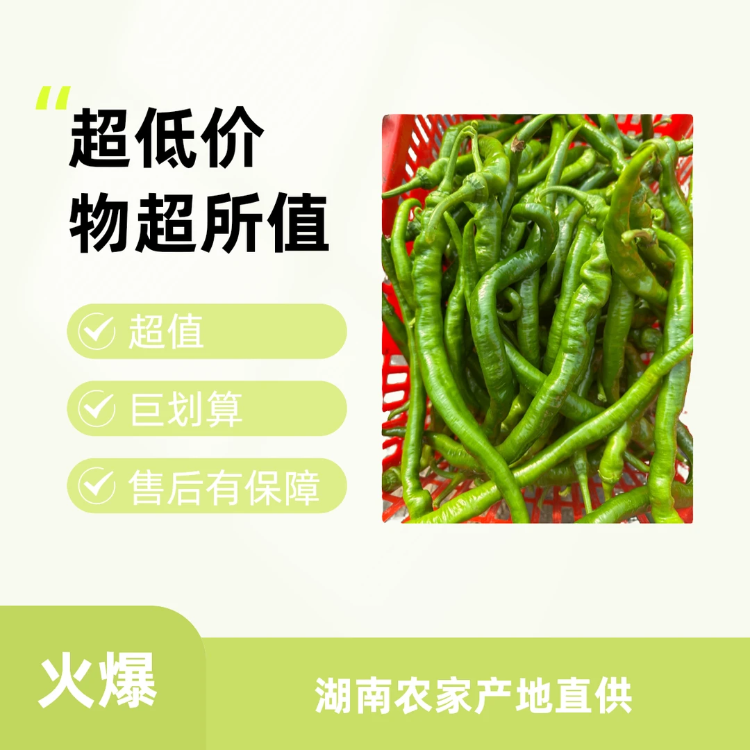 湖南正宗本地农家土辣椒  新鲜青椒现摘现发(中辣)