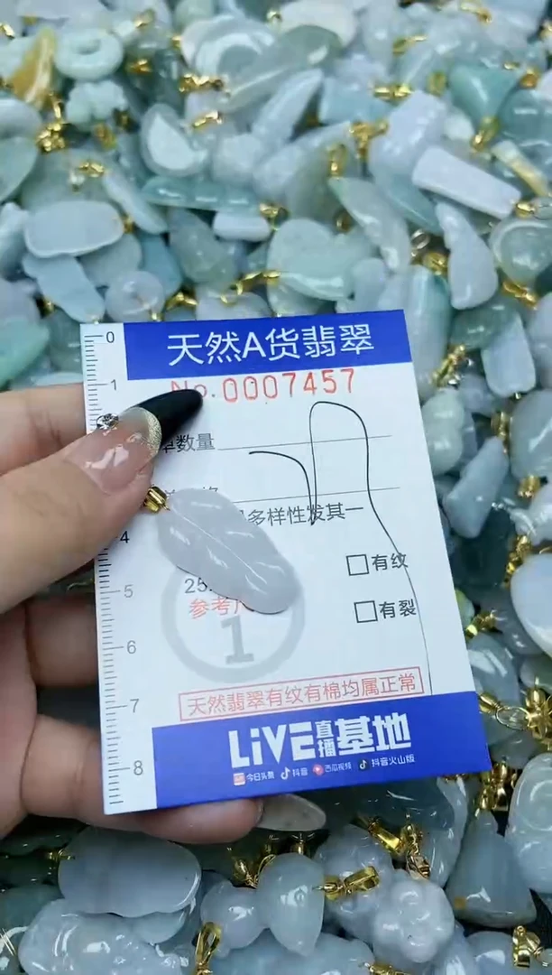 【闪购商品】翡翠颈饰未镶嵌天然A货翡翠