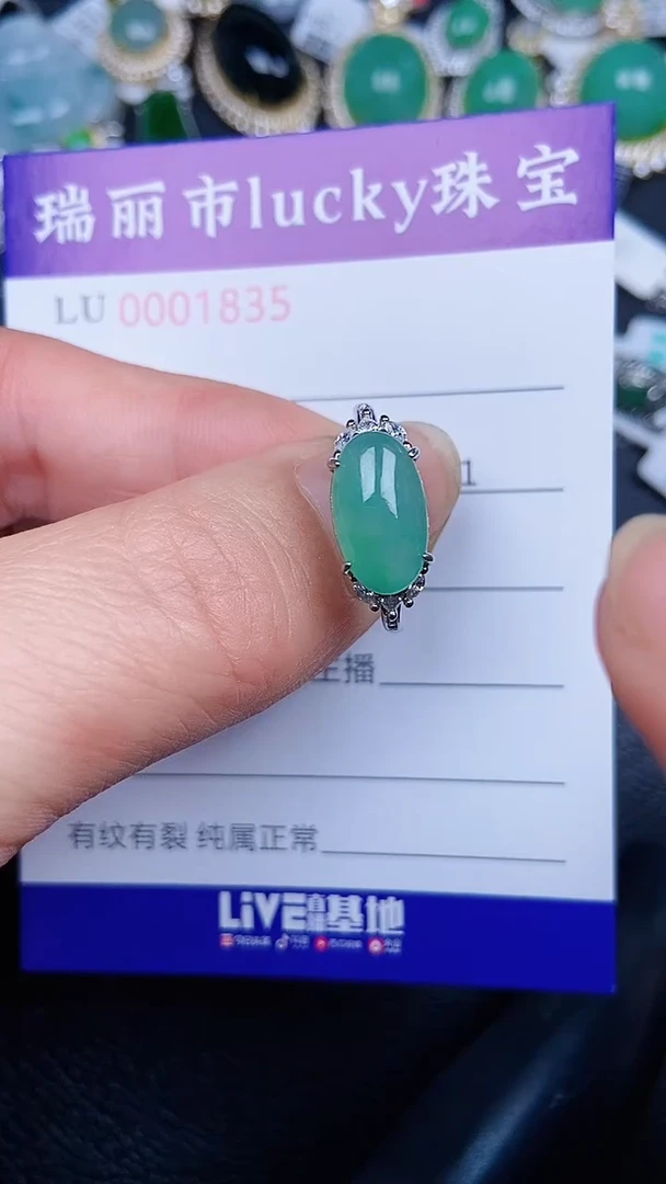 颈饰银S925镶嵌翡翠1835