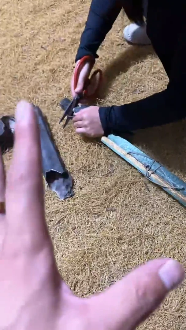 香榧木打开皮辊中堂7~~~~~