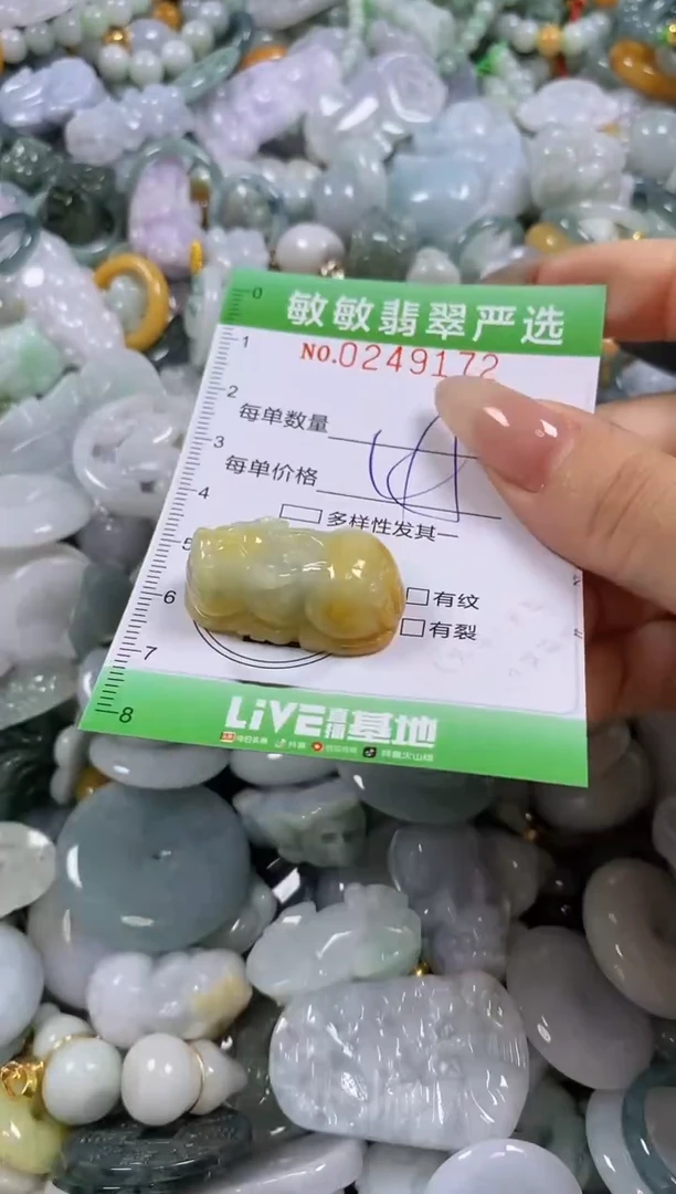 翡翠未镶嵌颈饰闪购0249172
