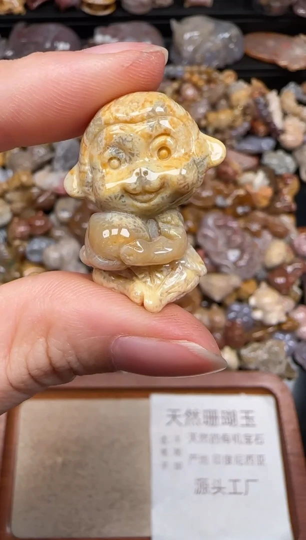 硅化珊瑚（珊瑚玉）未镶嵌颈饰206