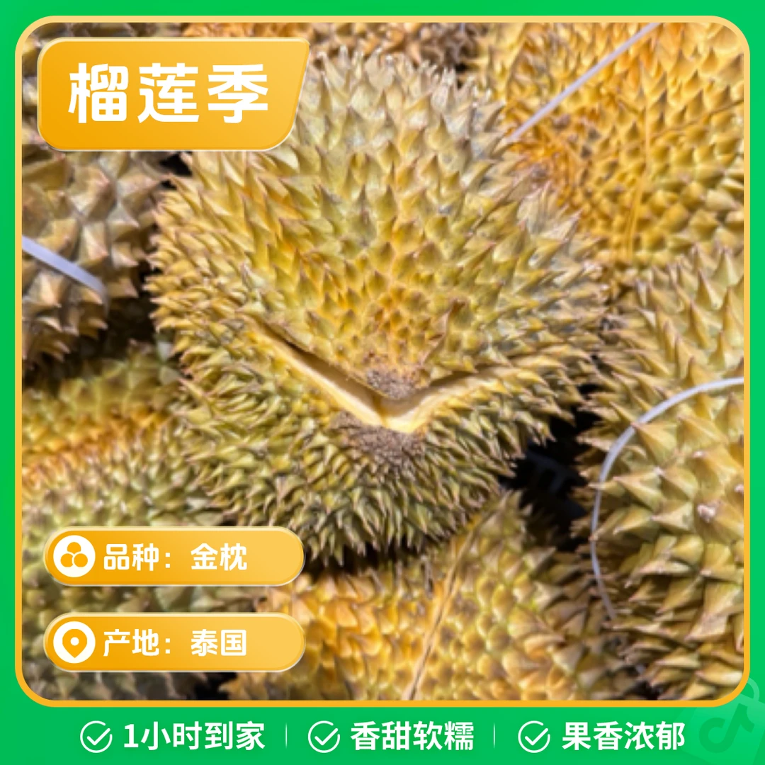 新鲜泰国金枕榴莲果肉 肉大核小 1～5斤金枕泰国