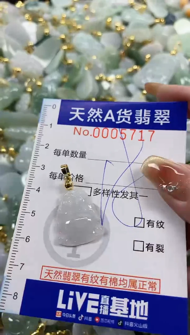 颈饰未镶嵌翡翠天然A货翡翠