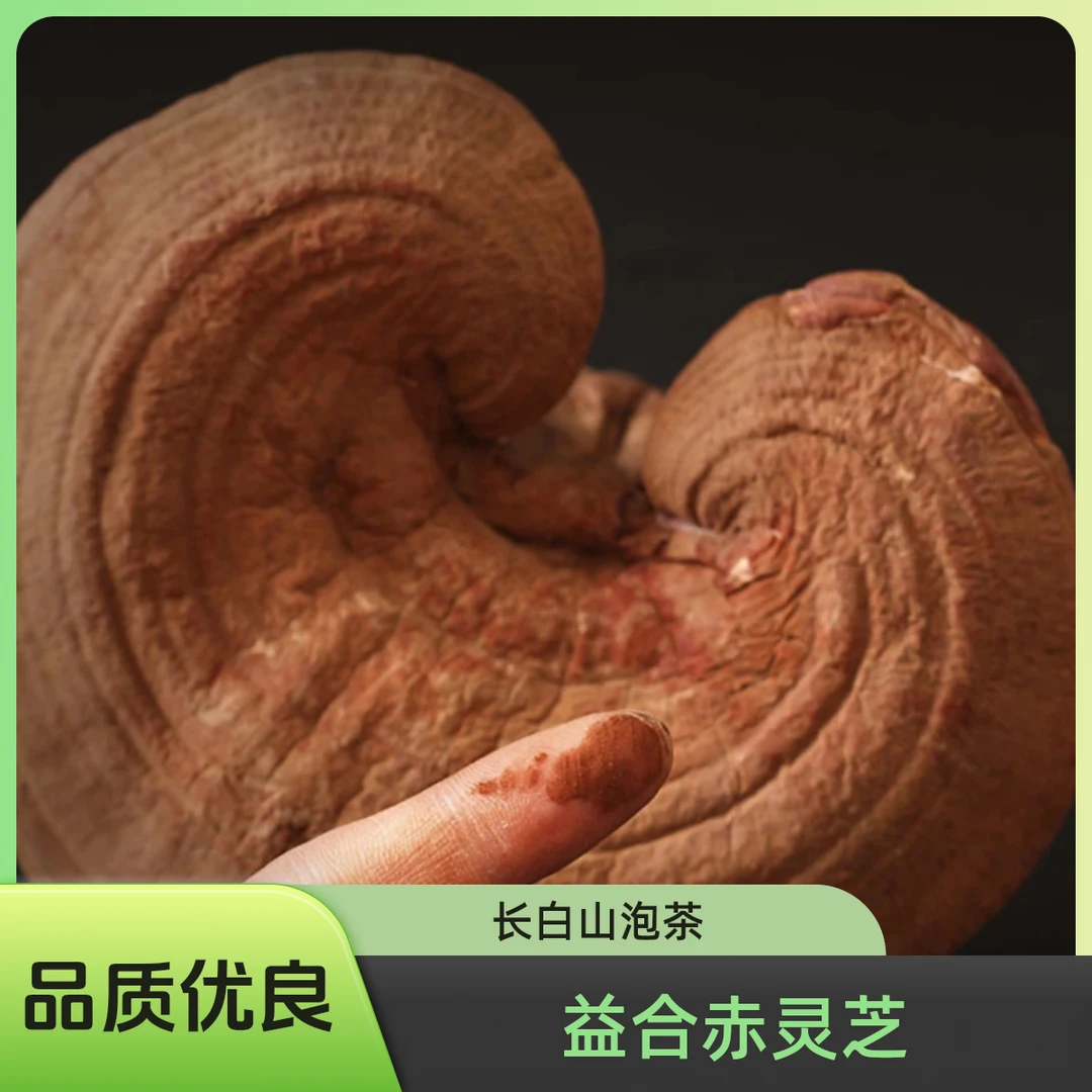 长白山赤灵芝泡水泡茶