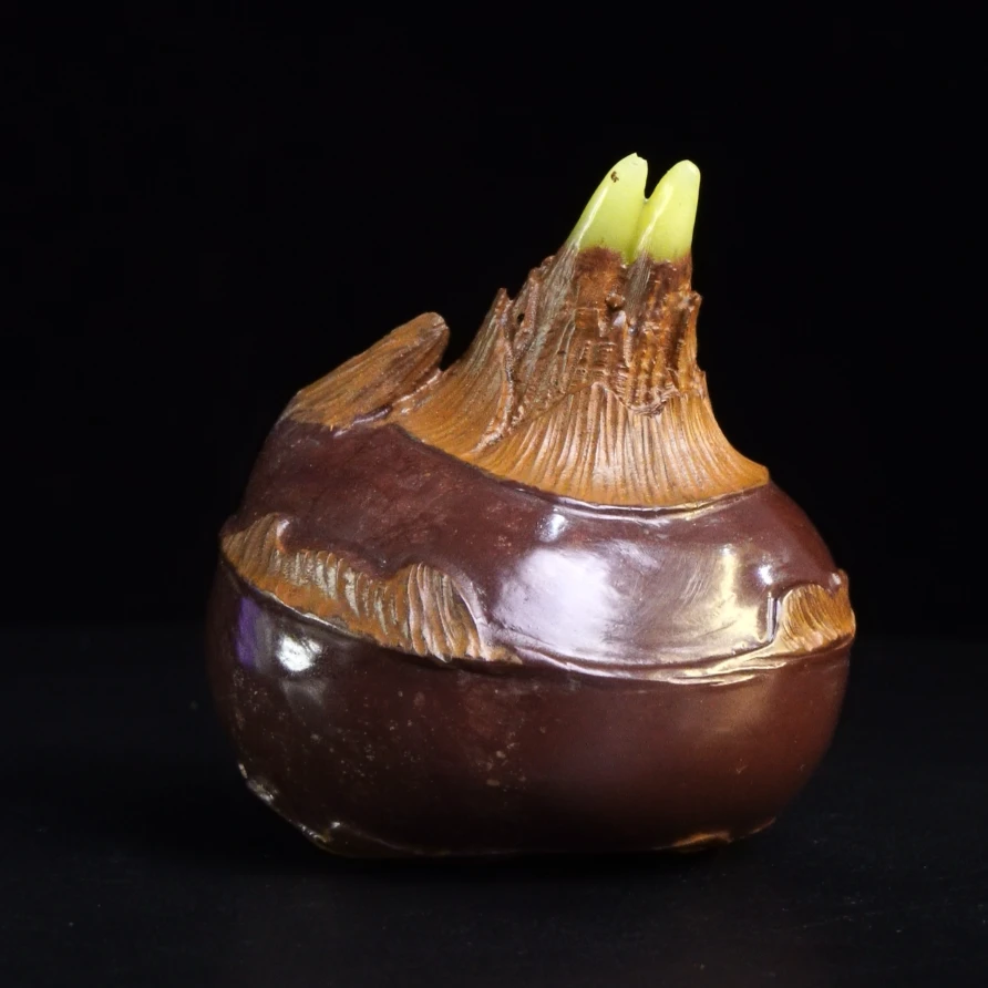 13寿山石月尾紫马蹄手把件152.3克5.4x5.3x6